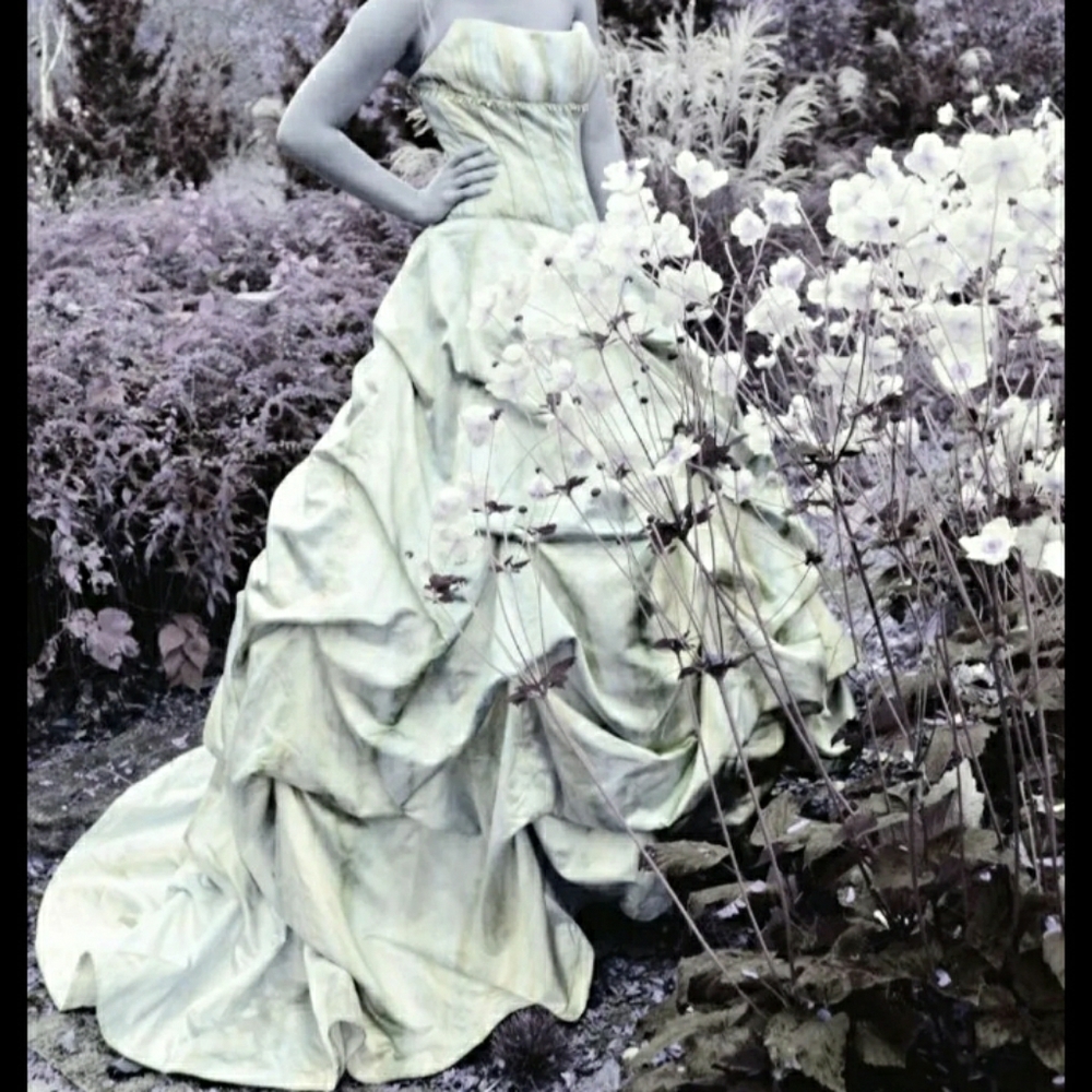 Stunning Anne barge wedding gown (sold at Macy's)